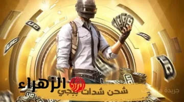 بونص 10,500 شدة.. فرصة ذهبية للاعبين عند شحن شدات ببجي UC 1